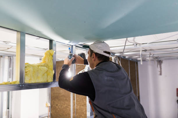 Best Insulation Air Sealing  in Galena, IL