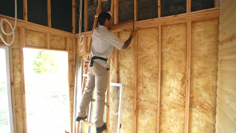 Best Attic Insulation Installation  in Galena, IL