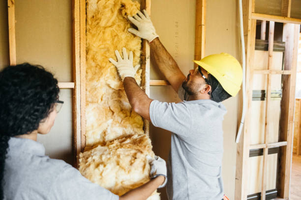 Best Soundproof Insulation  in Galena, IL