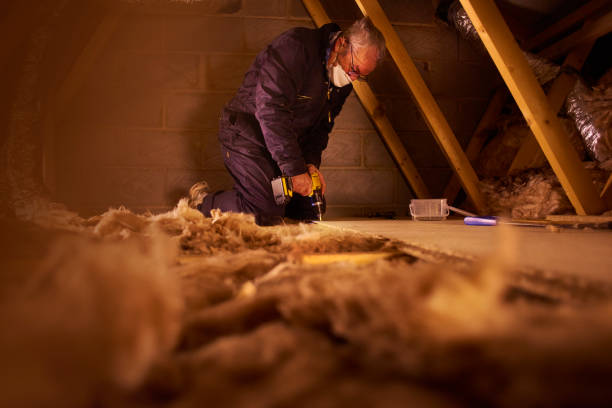 Eco-Friendly or Green Insulation Solutions in Galena, IL